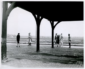 Image description is not available for PHO-4-W689-448